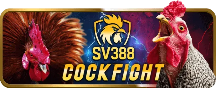 Cá Cược Bóng Đá kingfun nổ hũ